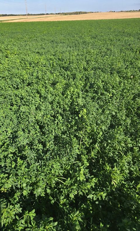 Tiny photo for 3292 E 24th Road, Marseilles, IL 61341 (MLS # 12604115)