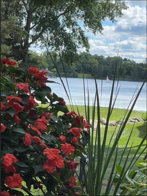 Tiny photo for 287 Deer Trail Court #D, Lake Barrington, IL 60010 (MLS # 12619704)