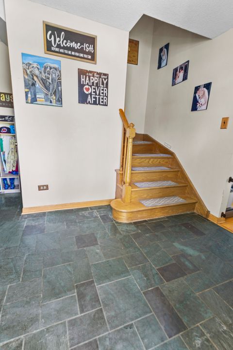 Tiny photo for 403 Orchard Lane, Beecher, IL 60401 (MLS # 12562533)