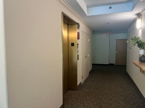 Tiny photo for 541 N Hough Street #305, Barrington, IL 60010 (MLS # 12743458)