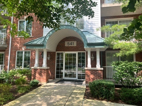 541 N Hough Street Unit 305, Barrington, IL 60010 - #: 12743458