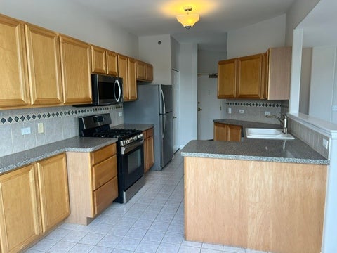 Tiny photo for 541 N Hough Street #305, Barrington, IL 60010 (MLS # 12743458)