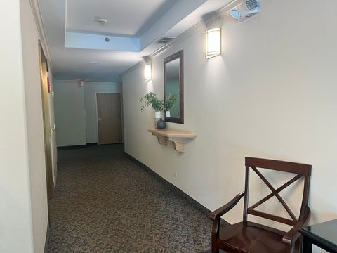 Tiny photo for 541 N Hough Street #305, Barrington, IL 60010 (MLS # 12743458)