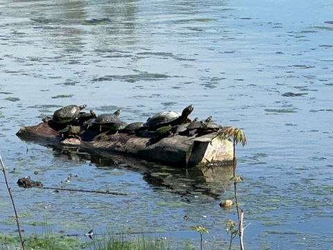 Tiny photo for 51 W Crystal Avenue, Lombard, IL 60148 (MLS # 12623092)