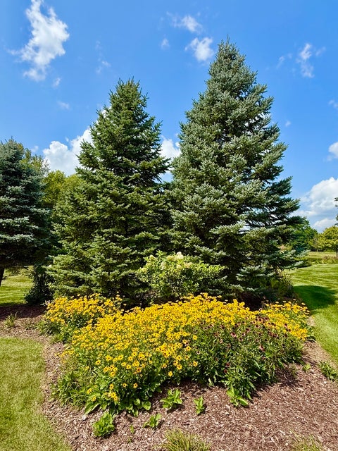 Tiny photo for 19132 Boulder Ridge Court, Mokena, IL 60448 (MLS # 12744363)