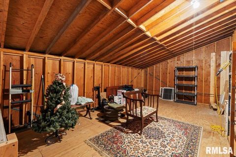 Tiny photo for 914 1ST Avenue, Hampton, IL 61256 (MLS # QC4268039)