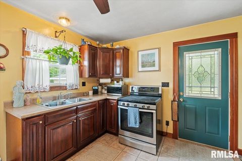 Tiny photo for 914 1ST Avenue, Hampton, IL 61256 (MLS # QC4268039)