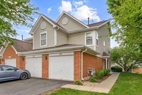 Photo of Roselle, IL 60172 (MLS # 12650071)