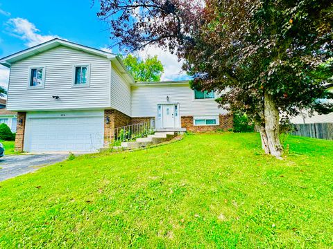 124 Oriole Road Matteson IL 60443