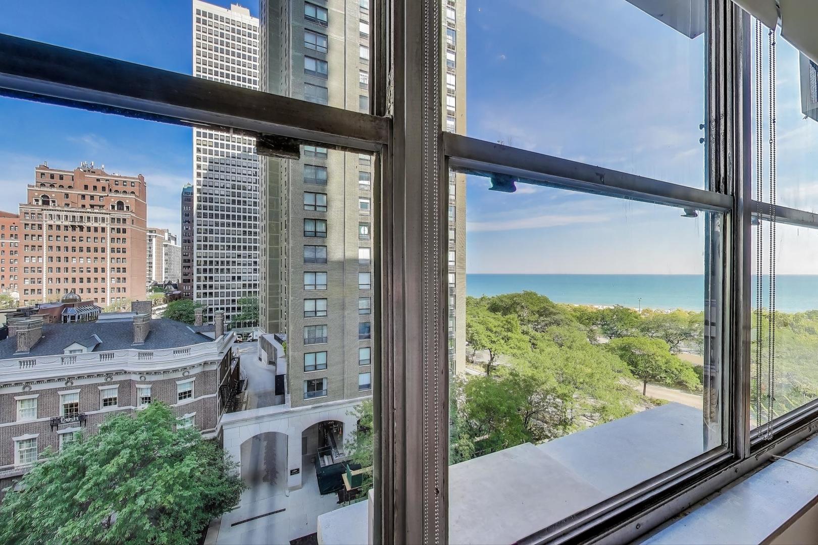 1000 N Lake Shore Drive 804