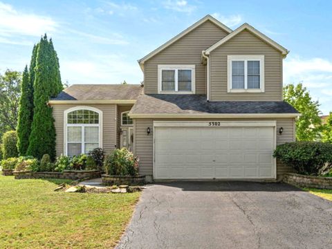 Photo of 5302 Foxwood Court, Plainfield, IL 60586 (MLS # 12479327)