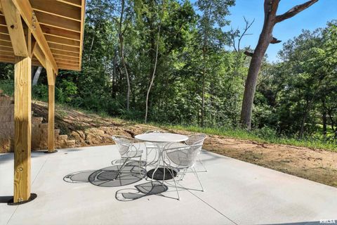 Tiny photo for 3303 VALLEY Drive, Geneseo, IL 61254 (MLS # QC4266756)