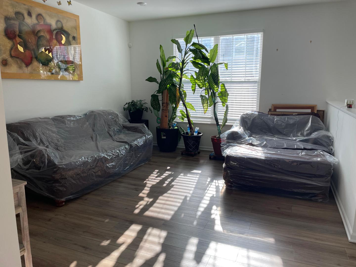 529 Wolverine Drive