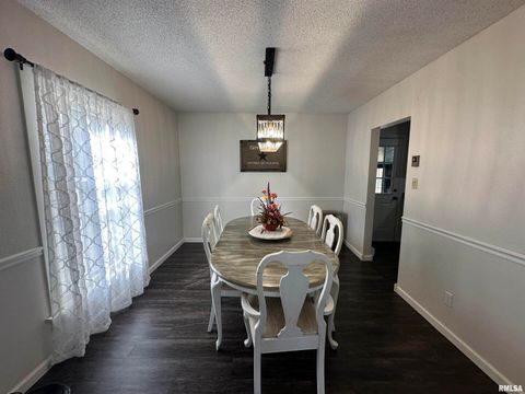 Tiny photo for 1307 CHARLES Street, Carterville, IL 62918 (MLS # EB460237)