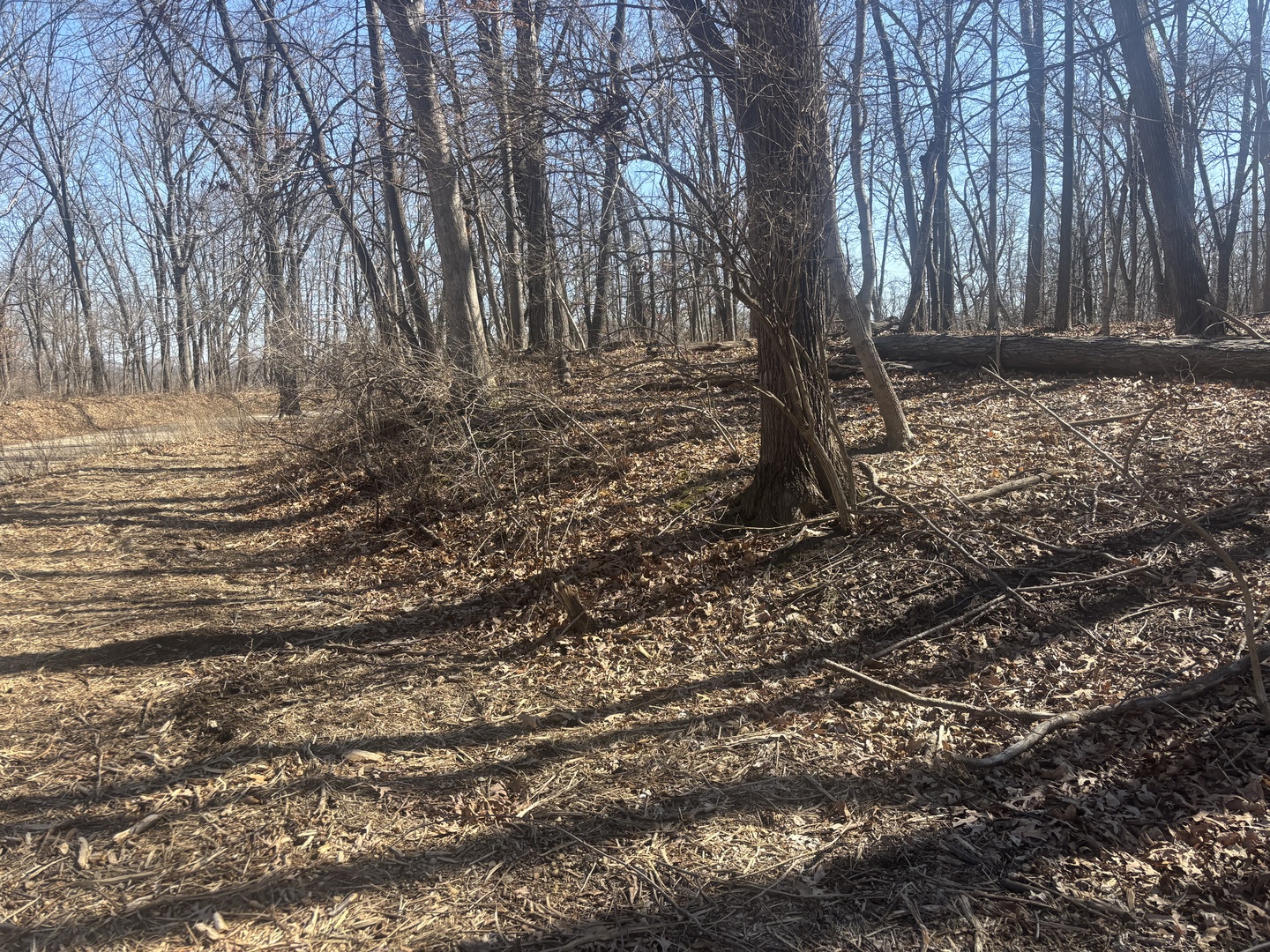 839 Lake Wildwood Drive