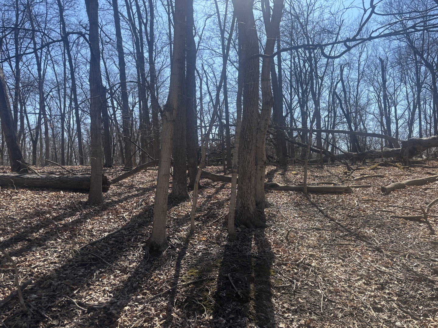 839 Lake Wildwood Drive