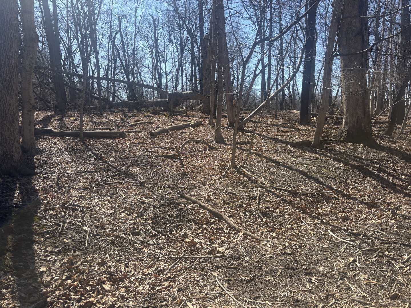 839 Lake Wildwood Drive