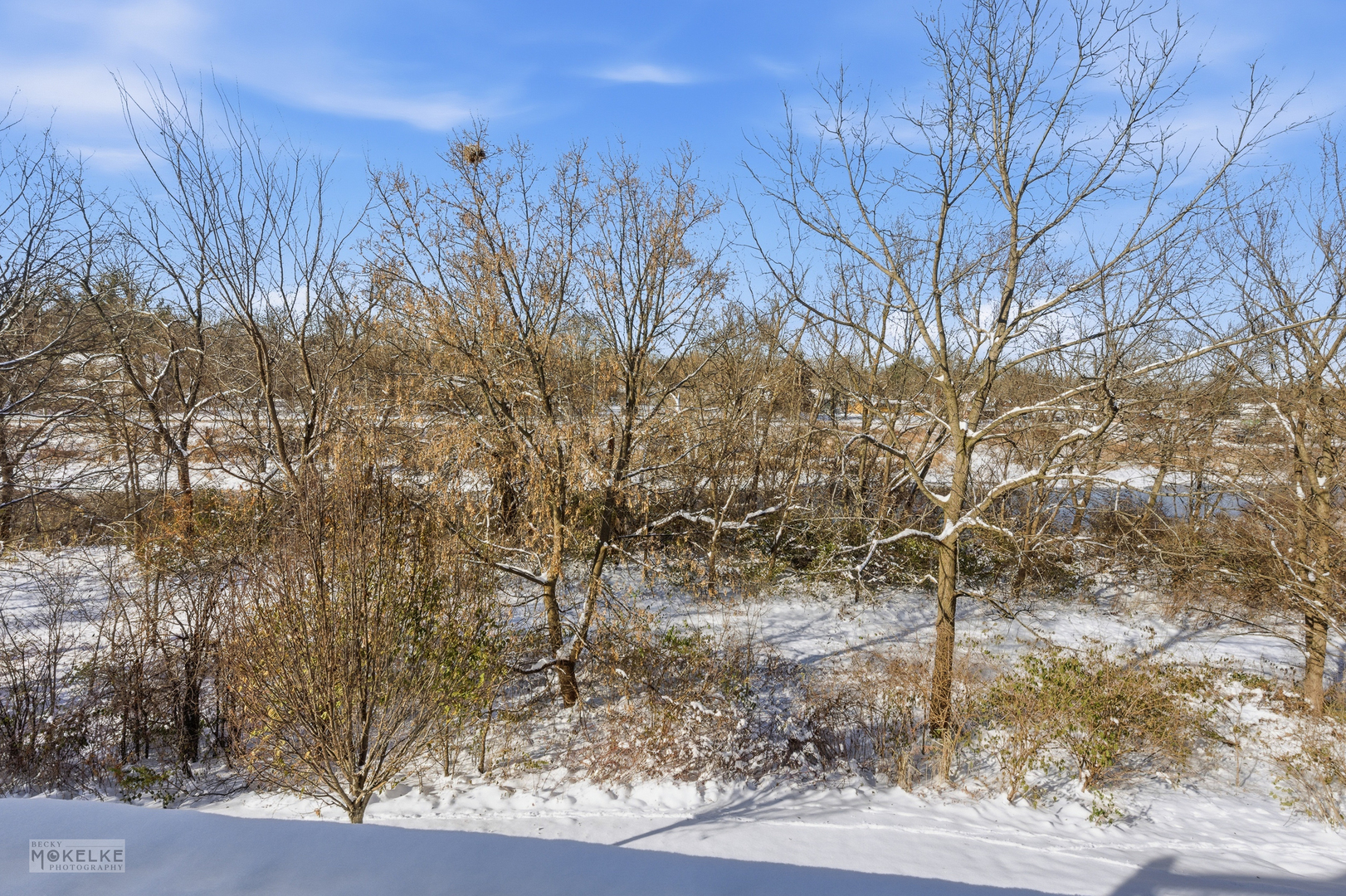 Warrenville, Illinois 60555, United States, 2 Bedrooms Bedrooms, ,2 BathroomsBathrooms,Residential,Contingent,251871