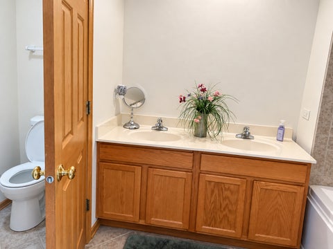 Tiny photo for 21122 Gray Hawk Drive, Matteson, IL 60443 (MLS # 12760831)