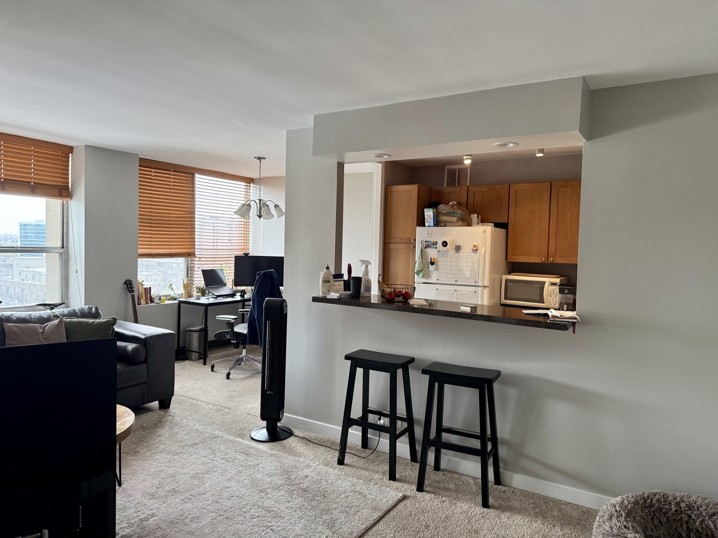 655 W Irving Park Road 1313