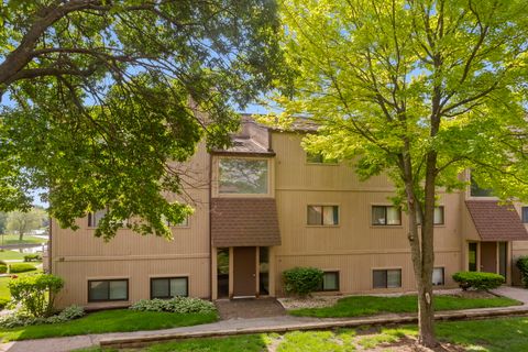 58 Vail Colony 10 Fox Lake IL 60020