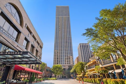 1030 N State Street 21A Chicago IL 60610