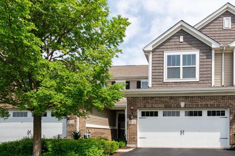 Photo of 16134 W Coneflower Drive, Lockport, IL 60441 (MLS # 12651402)
