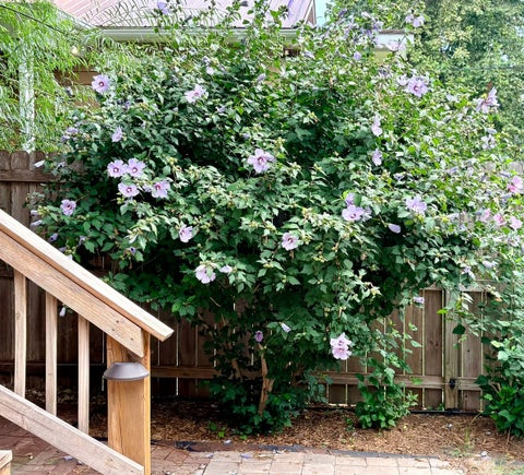 Tiny photo for 1454 Hampshire Street, Quincy, IL 62301 (MLS # 12756979)