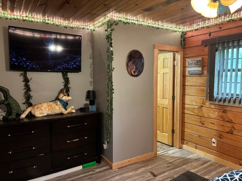 Tiny photo for 300 Noah Lane, Carterville, IL 62918 (MLS # 12698764)