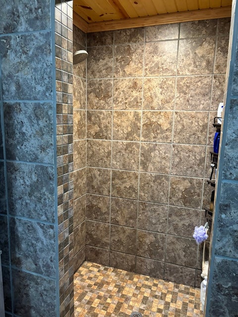 Tiny photo for 300 Noah Lane, Carterville, IL 62918 (MLS # 12698764)