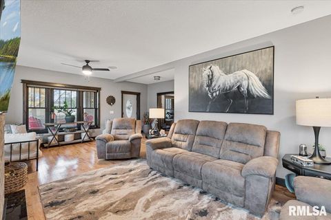 Tiny photo for 302 9TH Street, Silvis, IL 61282 (MLS # QC4269508)