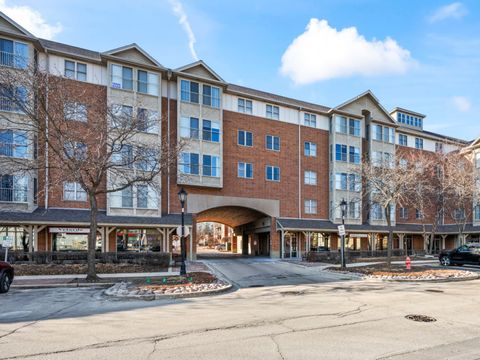 100 N Bokelman Street 330 Roselle IL 60172