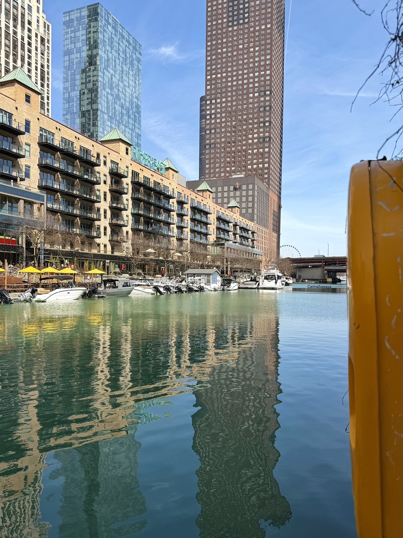 480 N McClurg Court 520