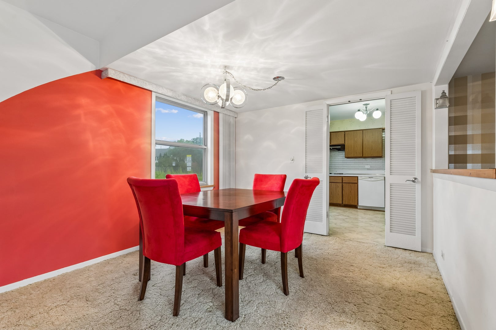 1564 White Trail