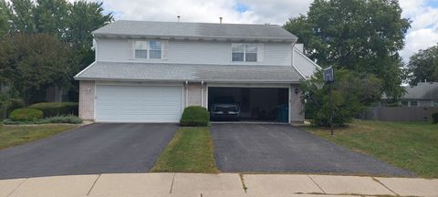 538 Lasalle Court - Buffalo Grove IL 60089