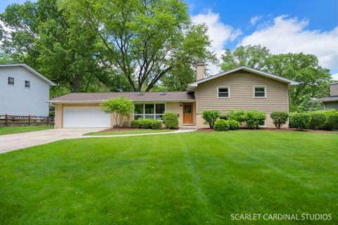 Photo of 17 Meisinger Lane, Naperville, IL 60540 (MLS # 12638141)