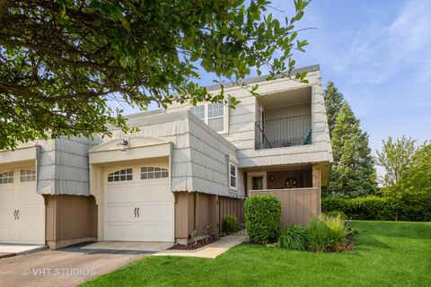 642 Burgundy Court A Elk Grove Village IL 60007