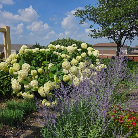 Tiny photo for 170 N Northwest Highway #410, Park Ridge, IL 60068 (MLS # 12501332)