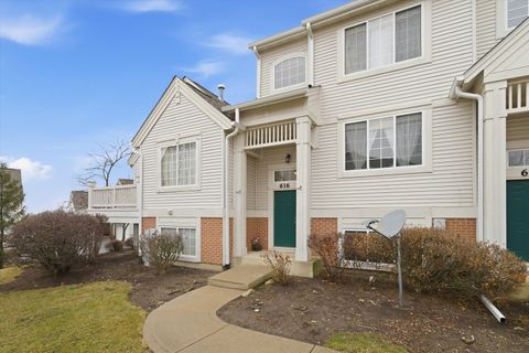 616 S Rosehall Lane 616 Round Lake IL 60073