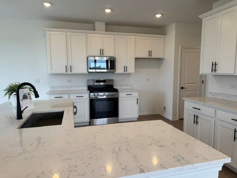 Tiny photo for 25534 W Emory Lane, Plainfield, IL 60544 (MLS # 12632169)