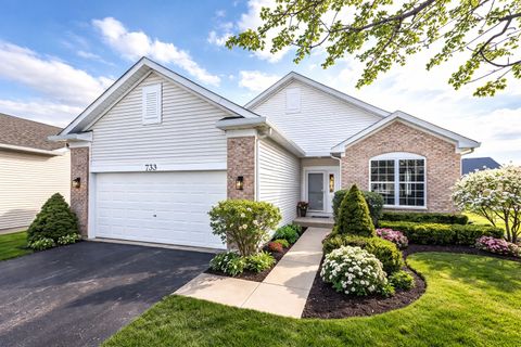 Photo of 733 S Mecosta Lane, Romeoville, IL 60446 (MLS # 12564565)