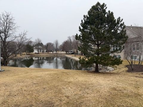 Tiny photo for 3009 Sanctuary Court, Joliet, IL 60435 (MLS # 12624282)