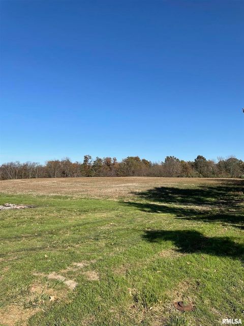 Tiny photo for 17726 N Quiet Acres Road, Scheller, IL 62884 (MLS # EB460443)