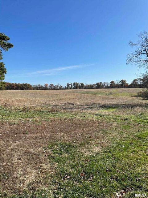 Tiny photo for 17726 N Quiet Acres Road, Scheller, IL 62884 (MLS # EB460443)