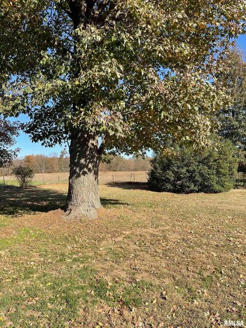 Tiny photo for 17726 N Quiet Acres Road, Scheller, IL 62884 (MLS # EB460443)