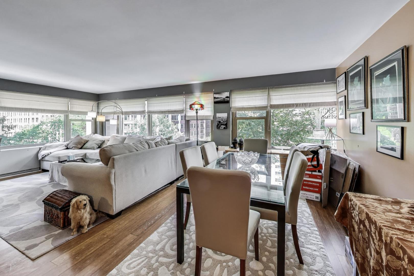 247 E Chestnut Street 502