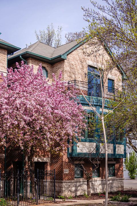 3056 N Paulina Street Chicago IL 60657