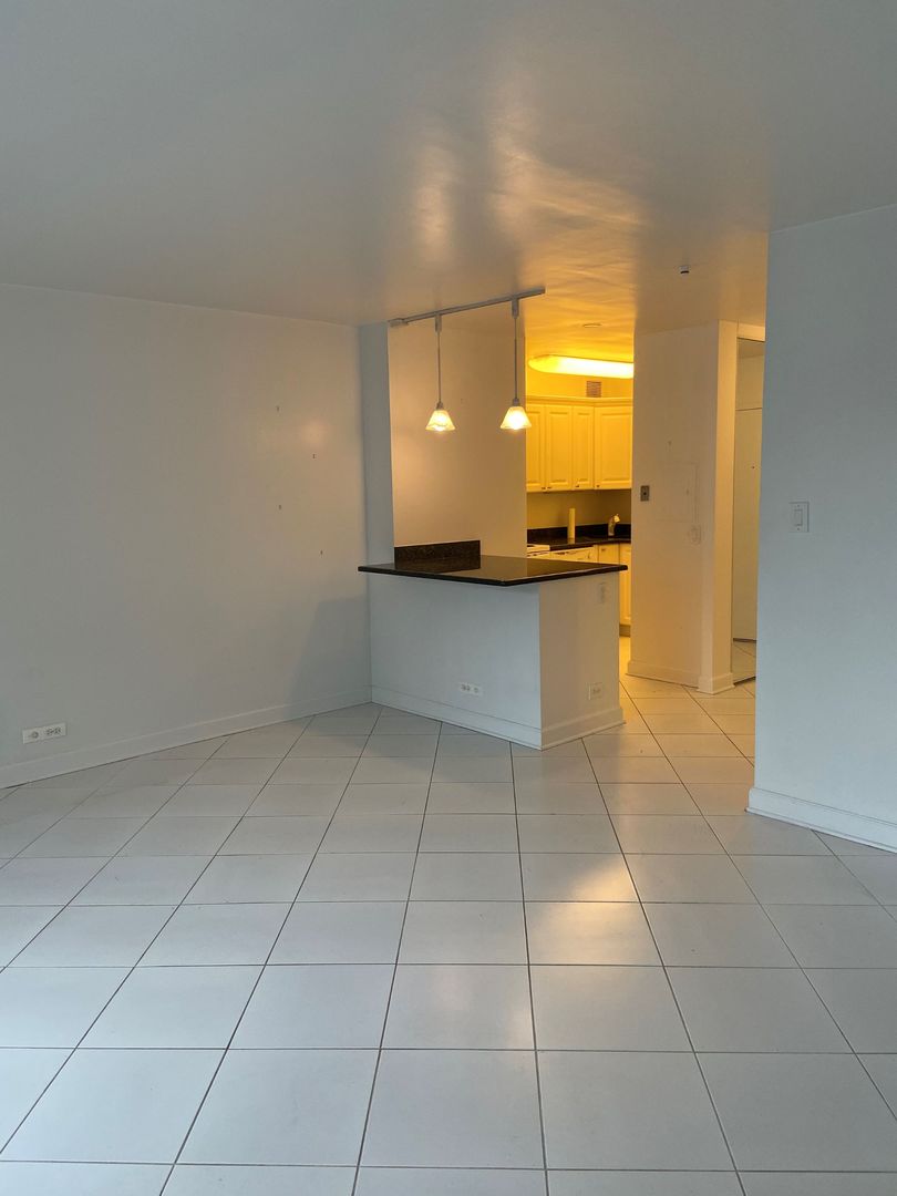 777 N Michigan Avenue 2005