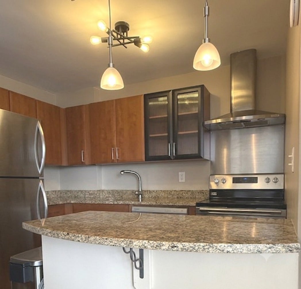 1355 N Sandburg Terrace 1801D