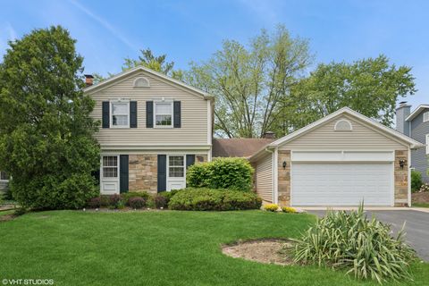 651 Silver Rock Lane Buffalo Grove IL 60089